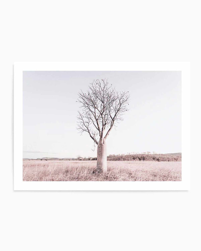Baobab Tree | Western Australia Art Print