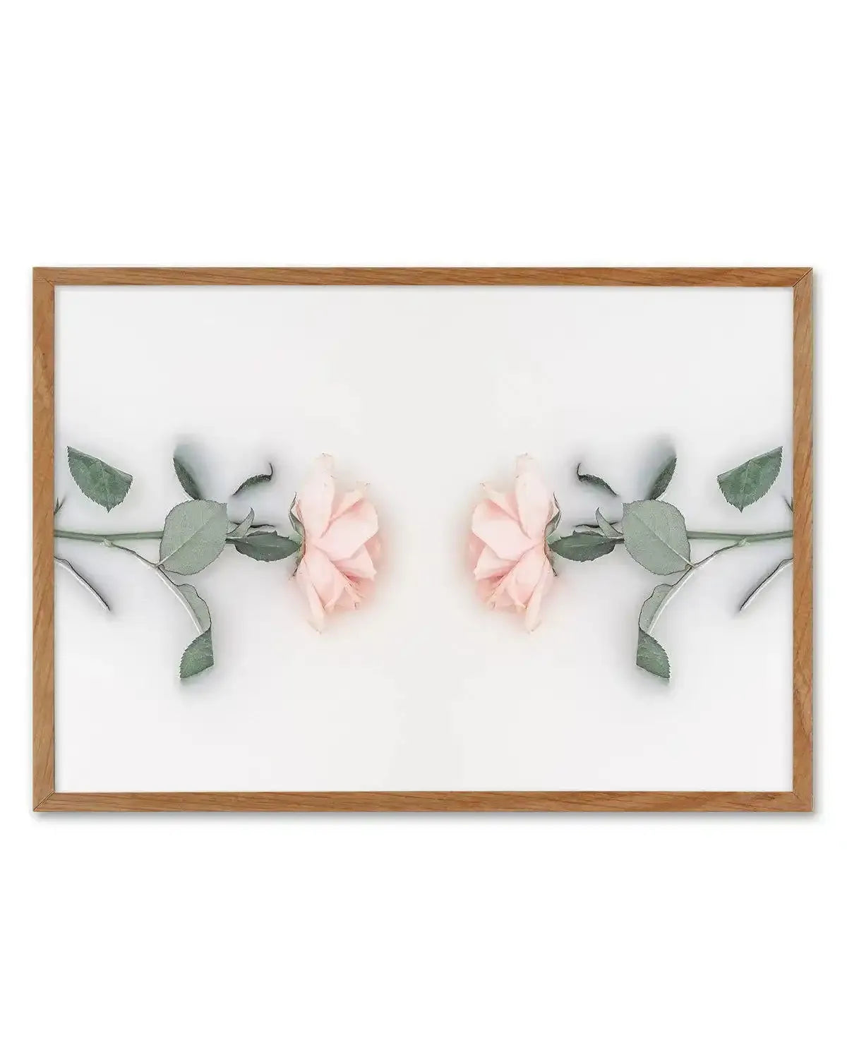 Bathing Roses II Art Print-PRINT-Olive et Oriel-Olive et Oriel-50x70 cm | 19.6" x 27.5"-Walnut-With White Border-Buy-Australian-Art-Prints-Online-with-Olive-et-Oriel-Your-Artwork-Specialists-Austrailia-Decorate-With-Coastal-Photo-Wall-Art-Prints-From-Our-Beach-House-Artwork-Collection-Fine-Poster-and-Framed-Artwork