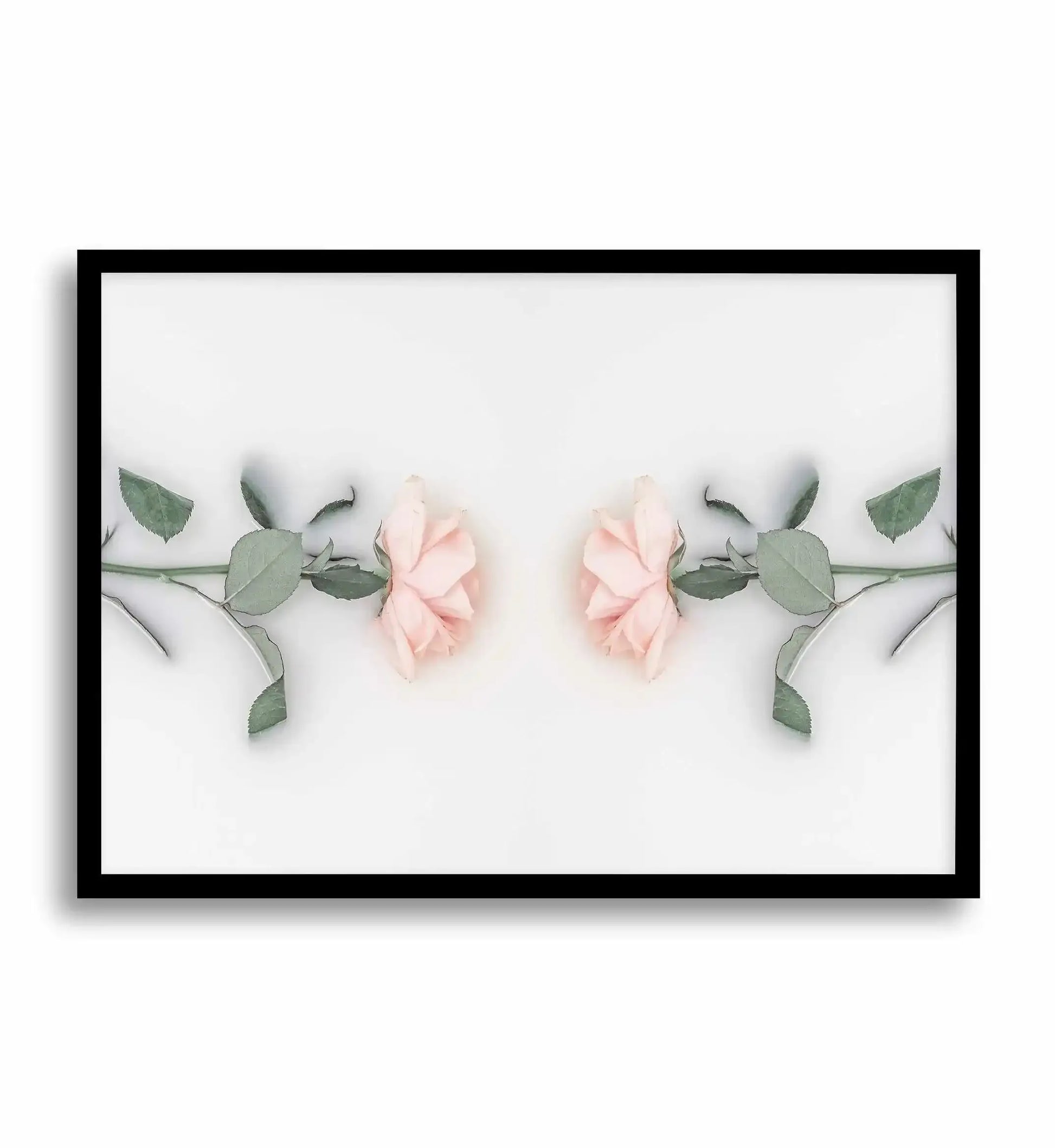 Bathing Roses II Art Print-PRINT-Olive et Oriel-Olive et Oriel-A5 | 5.8" x 8.3" | 14.8 x 21cm-Black-With White Border-Buy-Australian-Art-Prints-Online-with-Olive-et-Oriel-Your-Artwork-Specialists-Austrailia-Decorate-With-Coastal-Photo-Wall-Art-Prints-From-Our-Beach-House-Artwork-Collection-Fine-Poster-and-Framed-Artwork