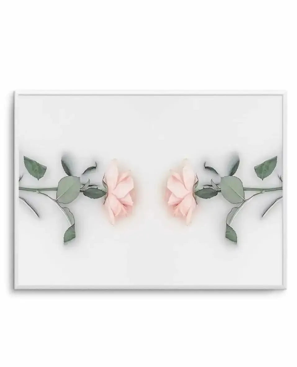 Bathing Roses II | Modern Romantic Rose in Milk Wall Art Photographic ...