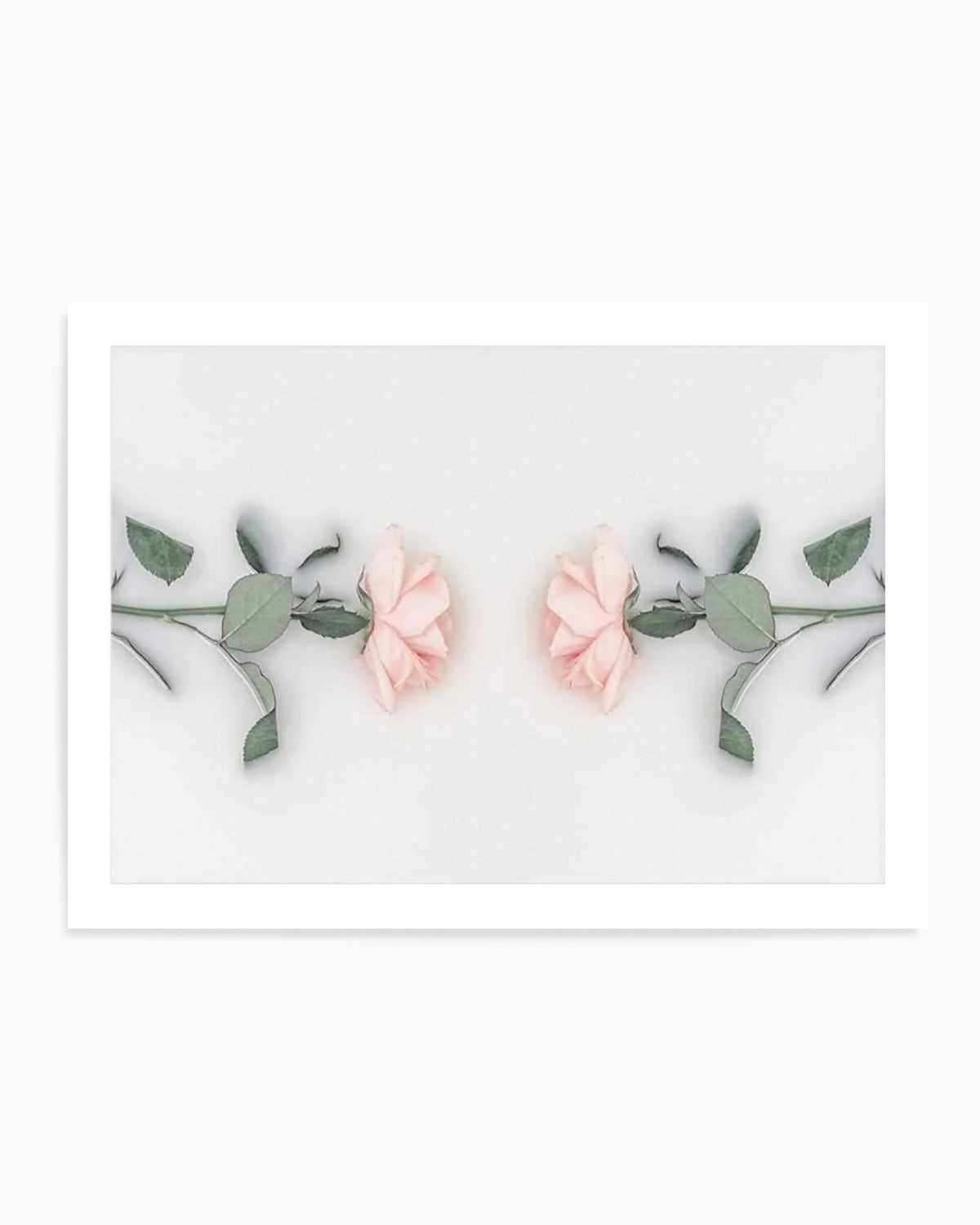 Bathing Roses II Art Print