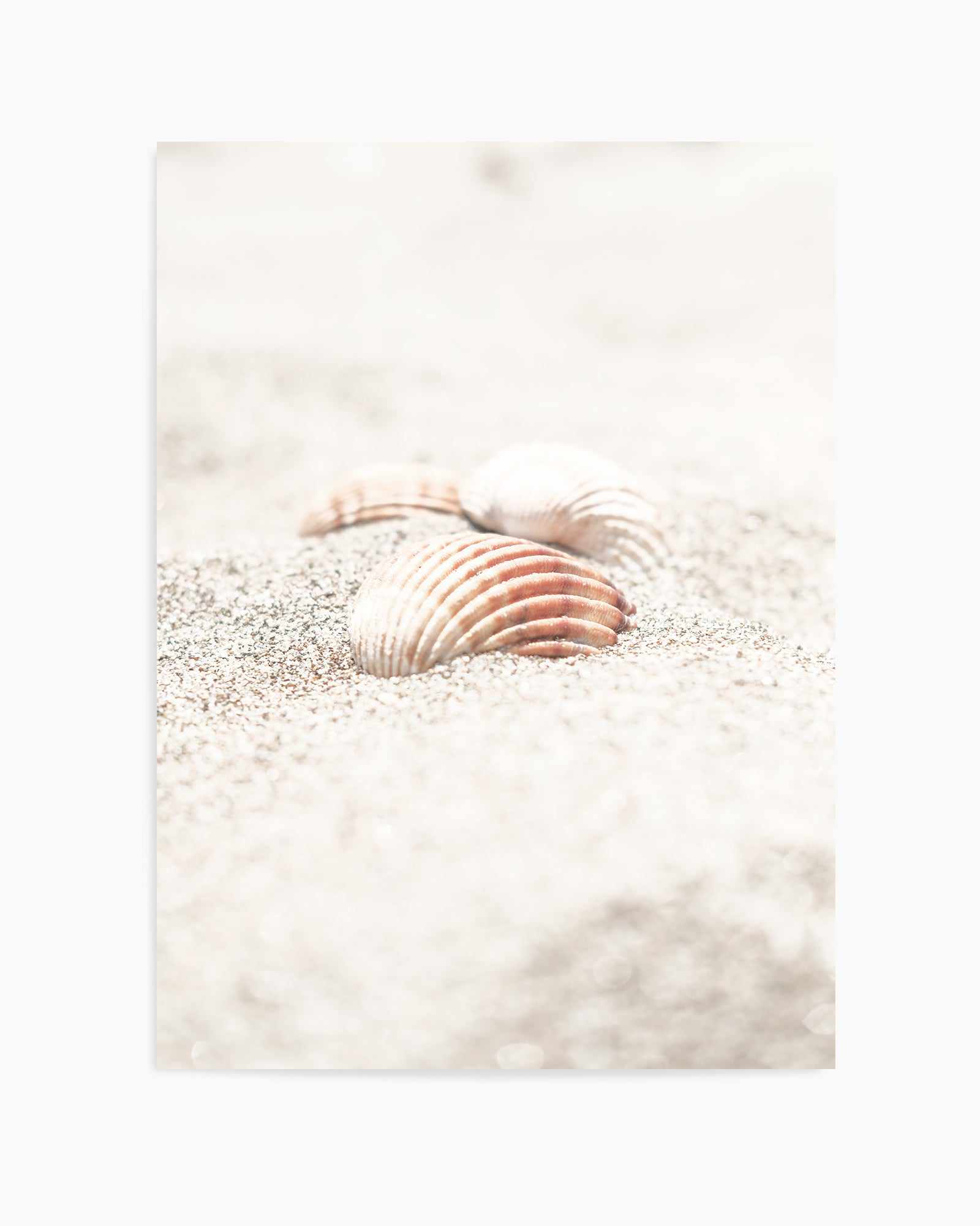 Beach 013 By Studio III | Art Print