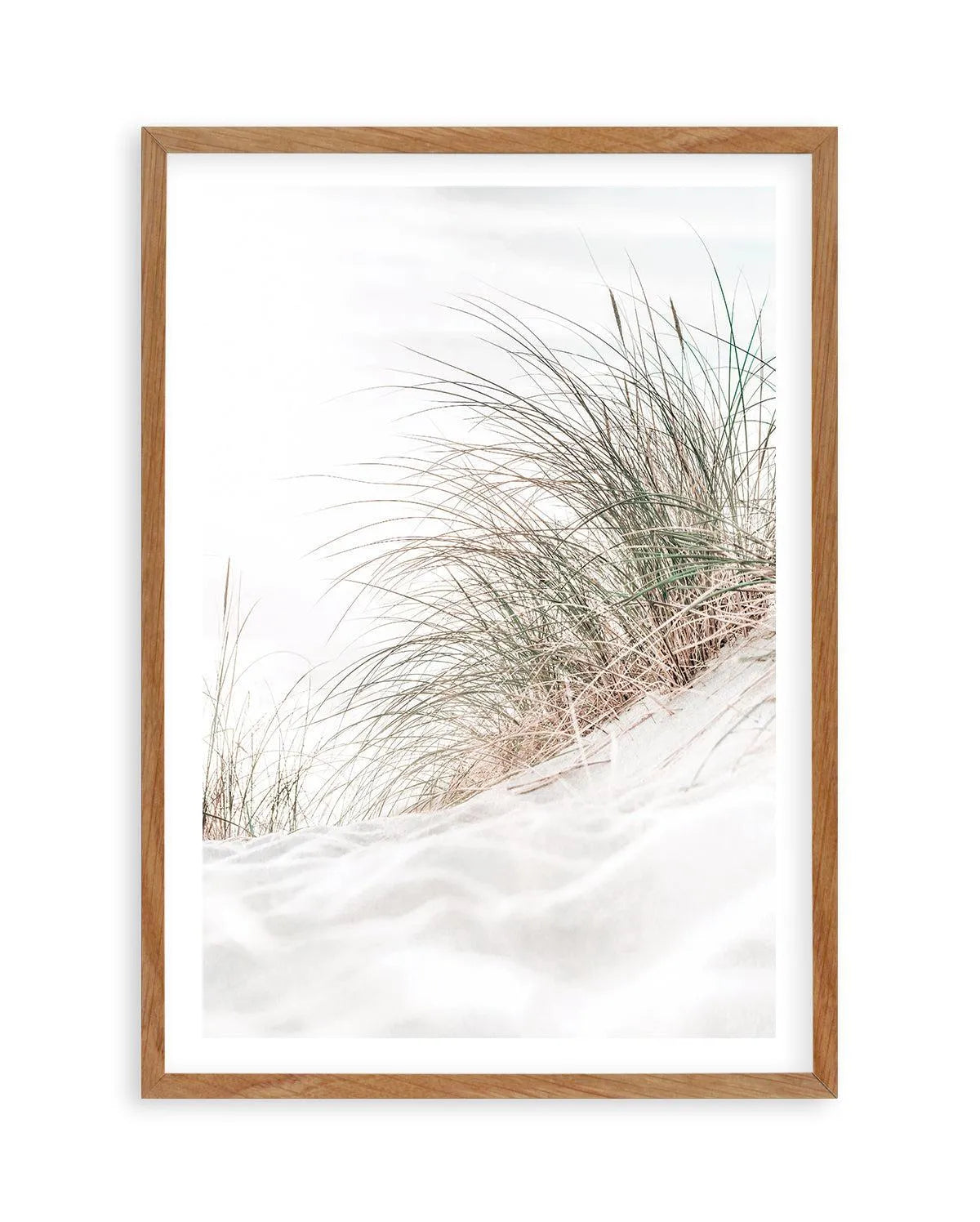 Beach Grass I Art Print | PT-PRINT-Olive et Oriel-Olive et Oriel-50x70 cm | 19.6" x 27.5"-Walnut-With White Border-Buy-Australian-Art-Prints-Online-with-Olive-et-Oriel-Your-Artwork-Specialists-Austrailia-Decorate-With-Coastal-Photo-Wall-Art-Prints-From-Our-Beach-House-Artwork-Collection-Fine-Poster-and-Framed-Artwork