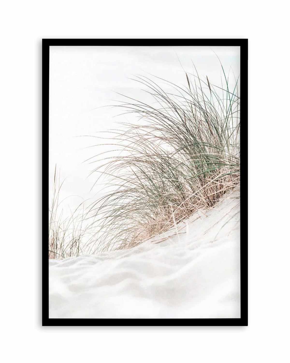 Beach Grass I Art Print | PT