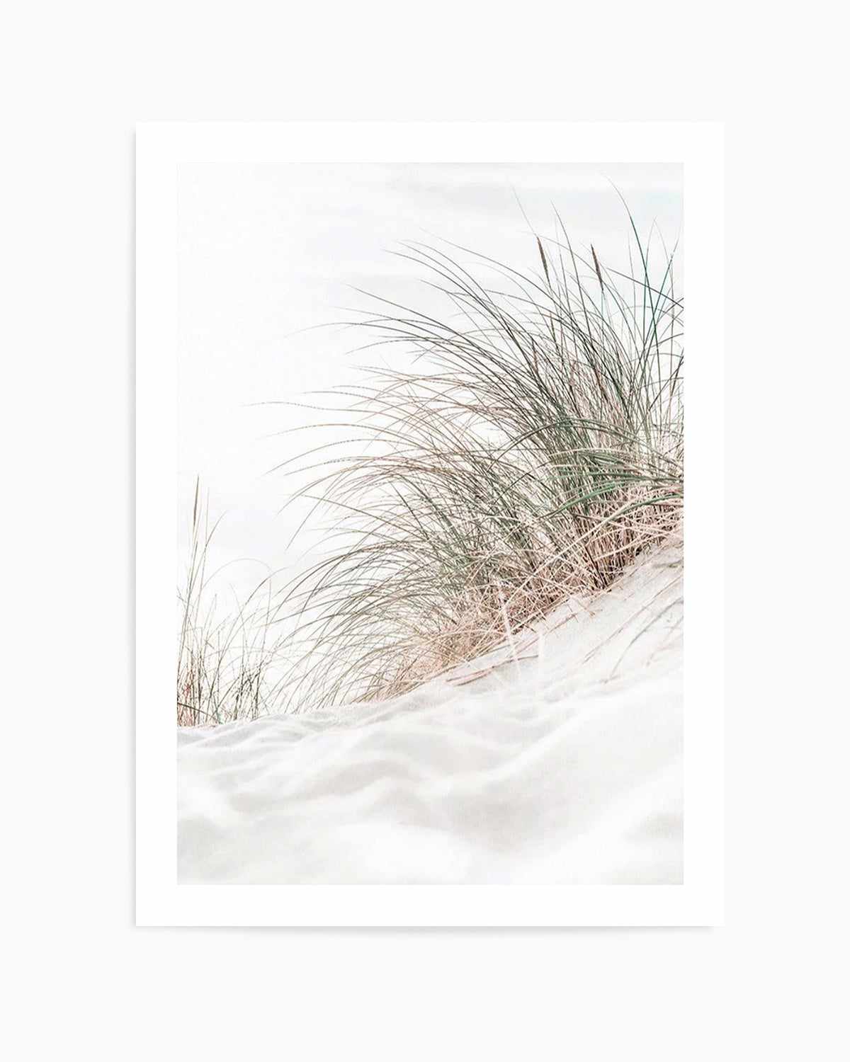 Beach Grass I Art Print | PT