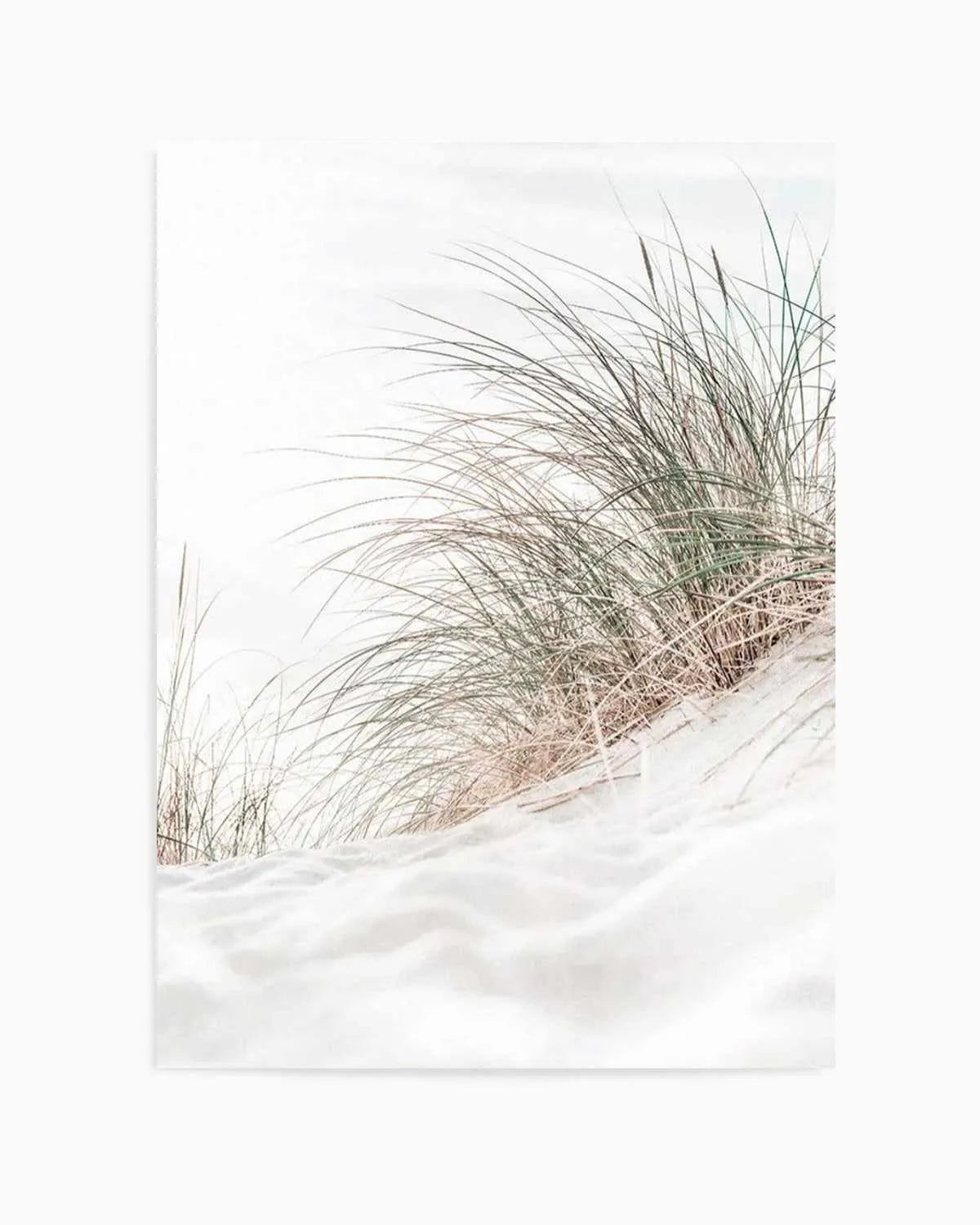 Beach Grass I Art Print | PT from Olive et Oriel where you can shop wallpaper and artworks online