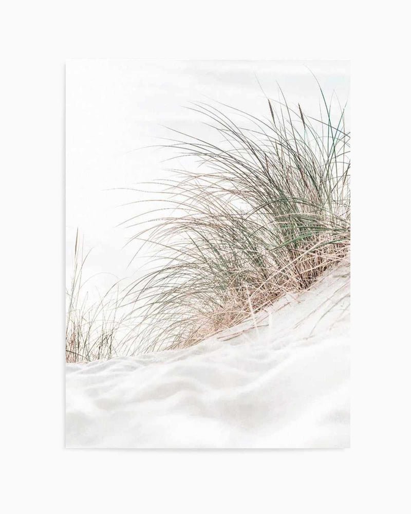 Beach Grass I Art Print | PT
