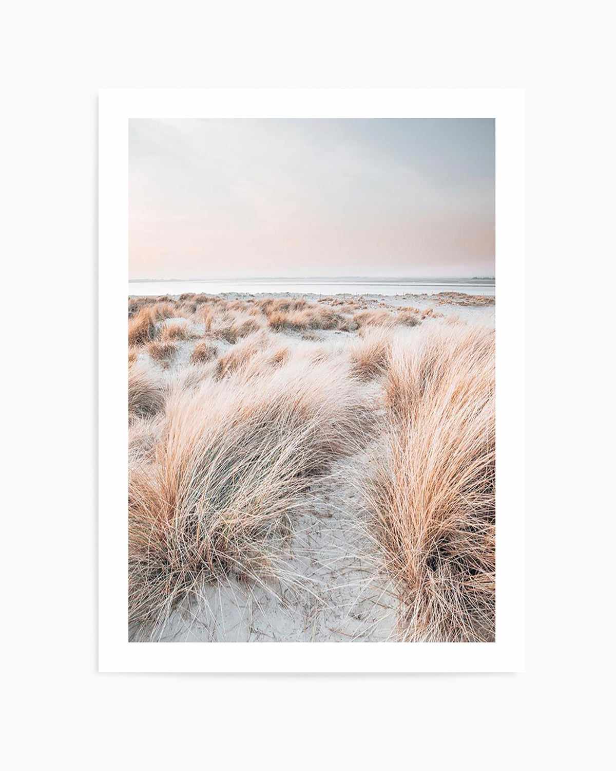 Beach Grass II Art Print | PT