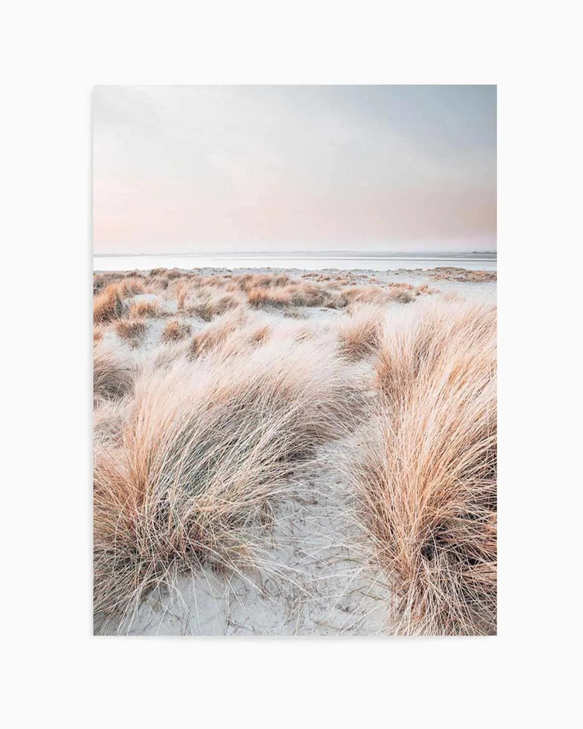 Beach Grass II Art Print | PT from Olive et Oriel where you can shop wallpaper and artworks online