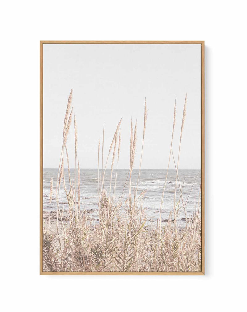 Beach Vass 001 By Studio III | Framed Canvas Art Print