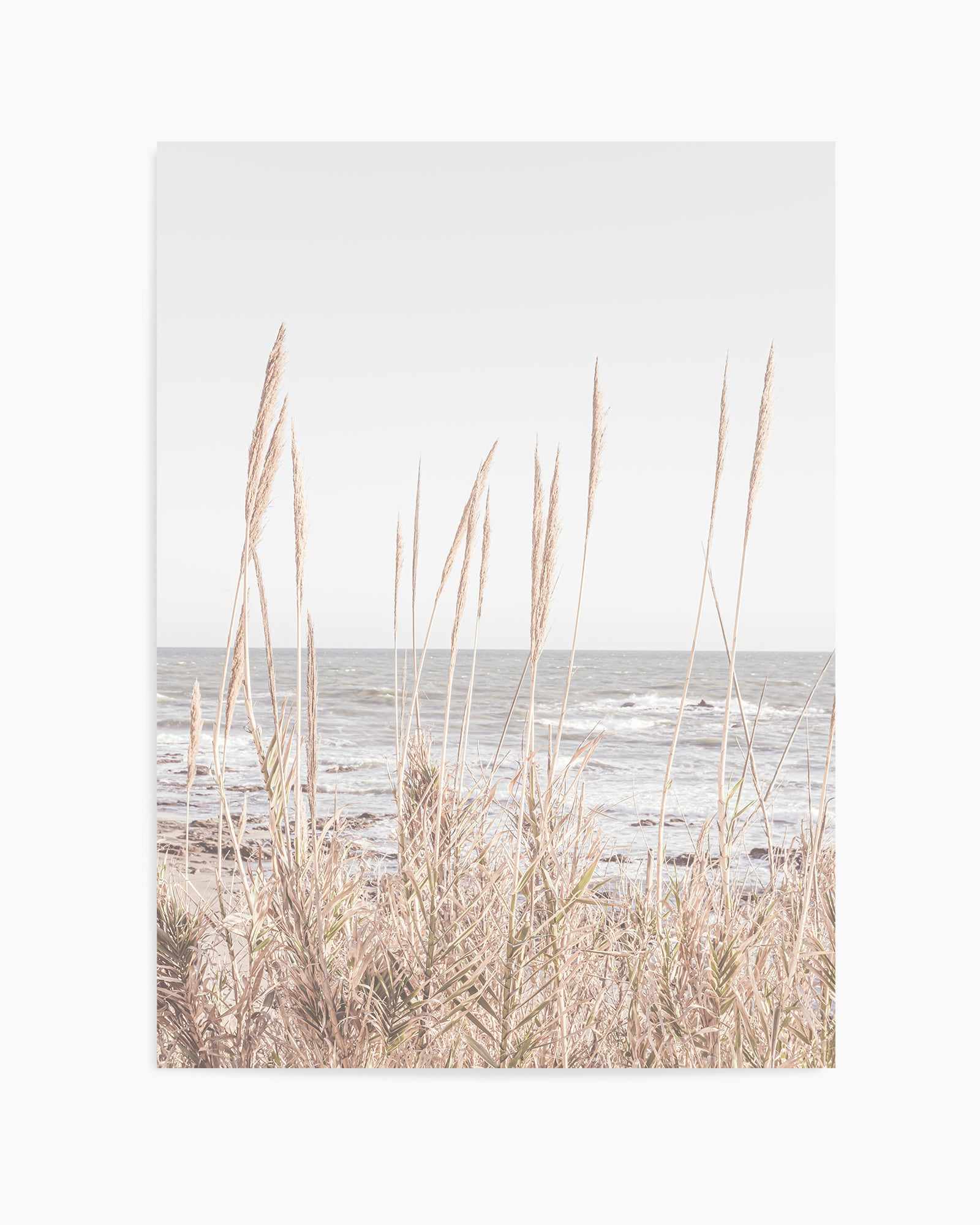 Beach Vass 001 By Studio III | Art Print