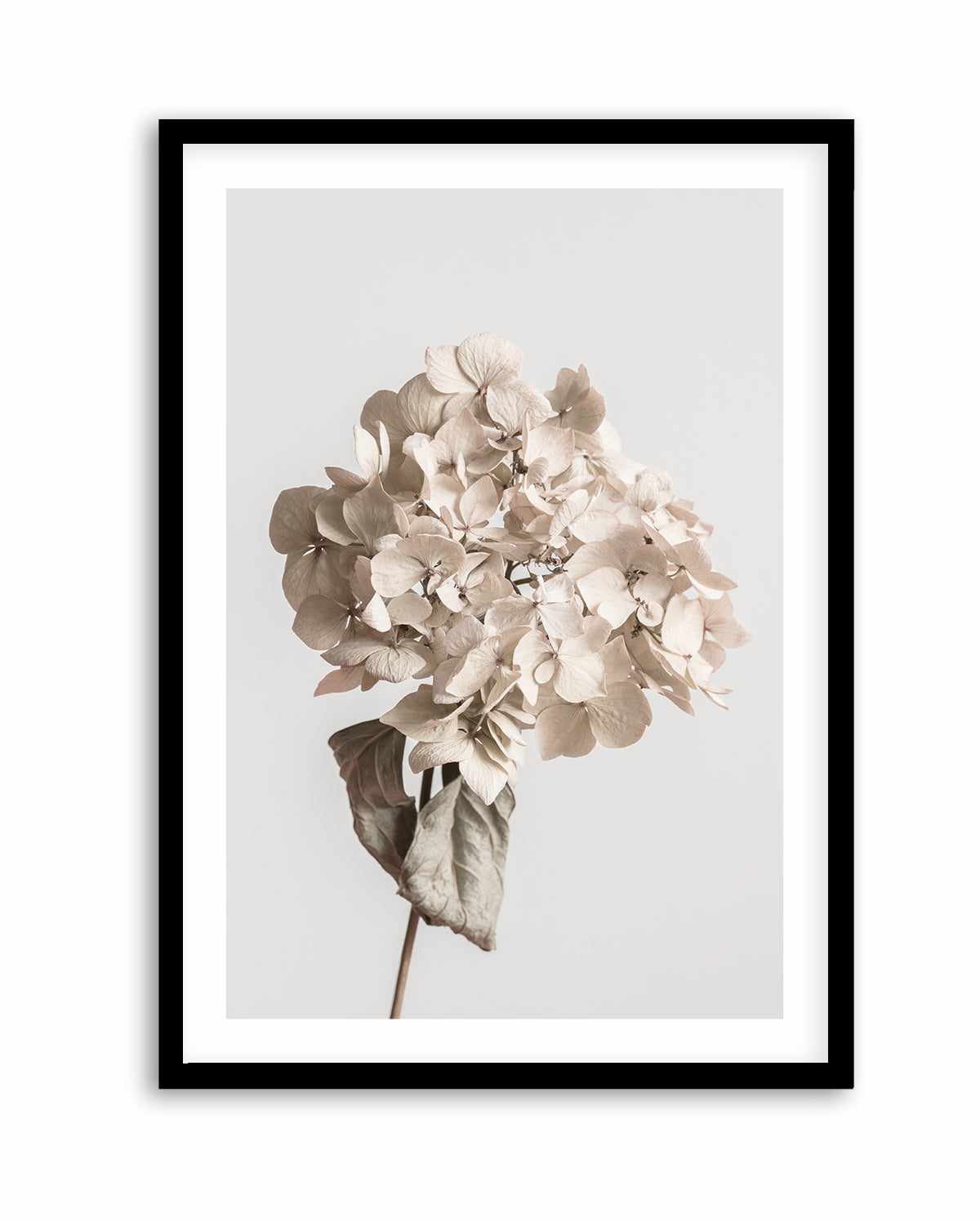 Beige Dried Flower By Studio III | Art Print