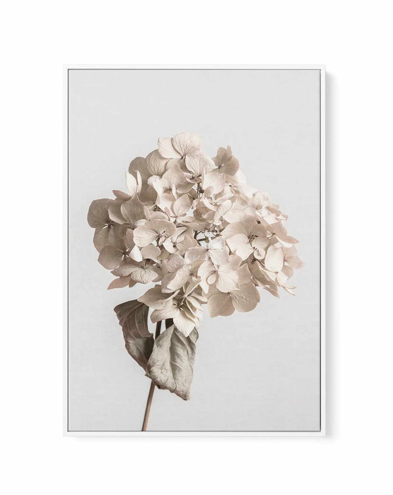 Beige Dried Flower By Studio III | Framed Canvas Art Print