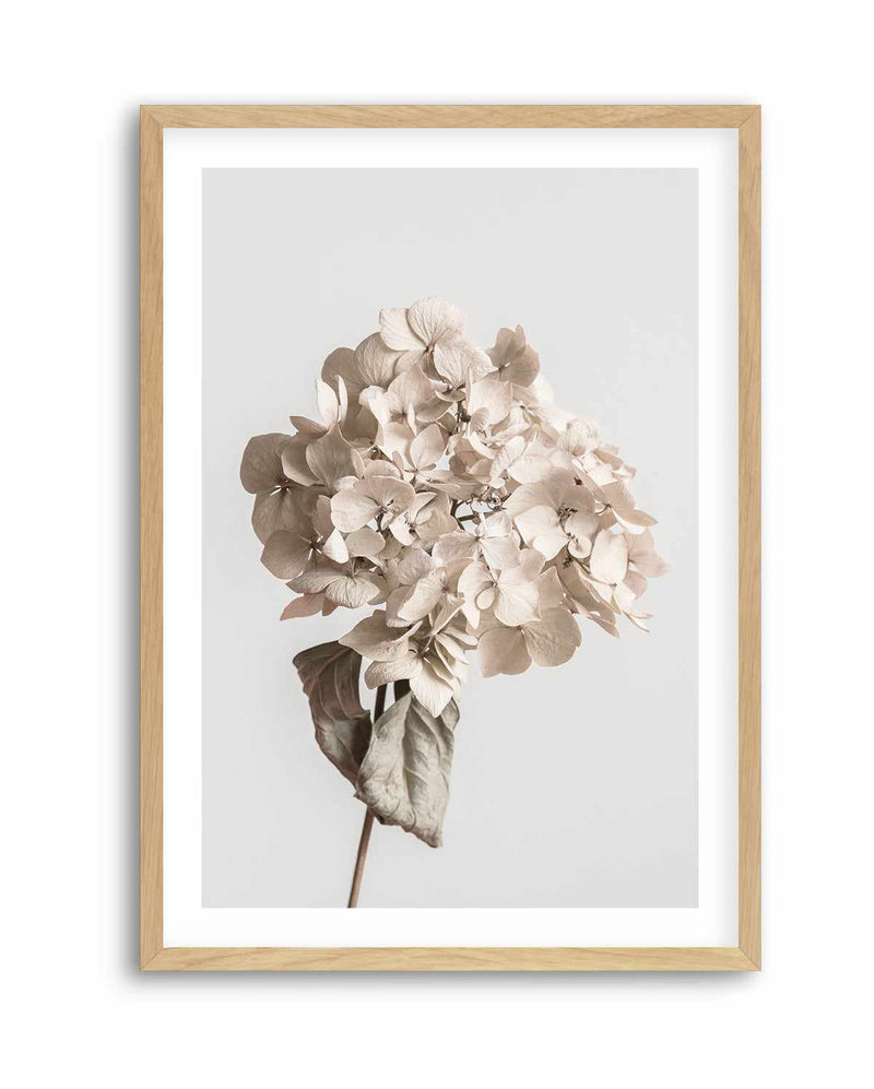 Beige Dried Flower By Studio III | Art Print