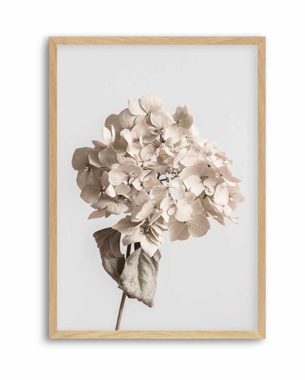 Beige Dried Flower By Studio III | Art Print