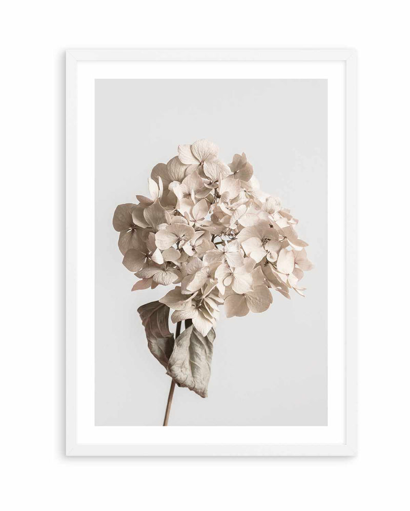 Beige Dried Flower By Studio III | Art Print