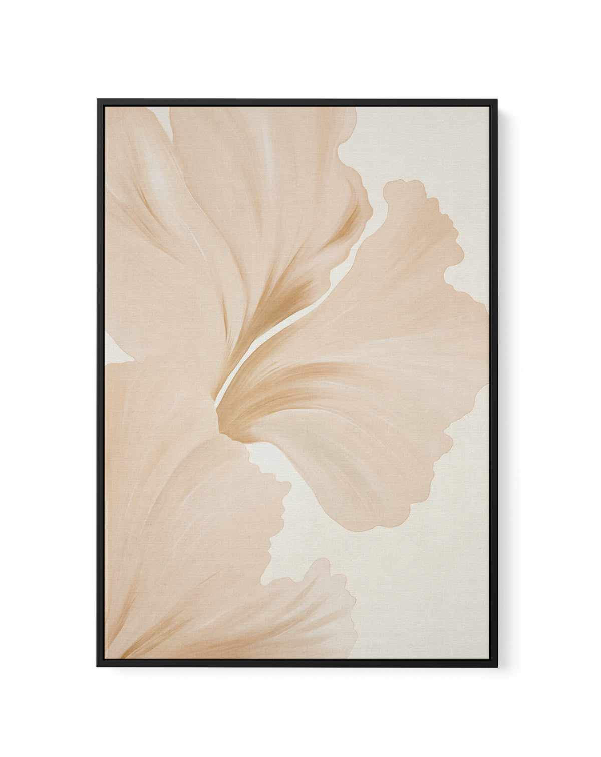 Beige Hibiscus No III | Framed Canvas Art Print