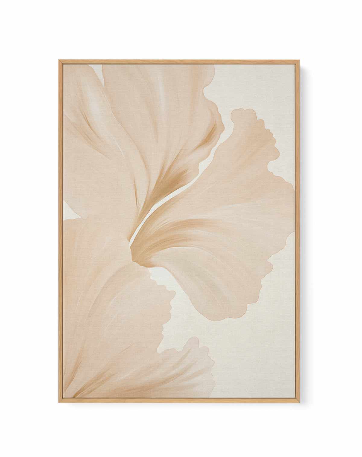 Beige Hibiscus No III | Framed Canvas Art Print