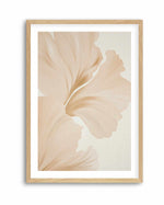 Beige Hibiscus No III | Art Print