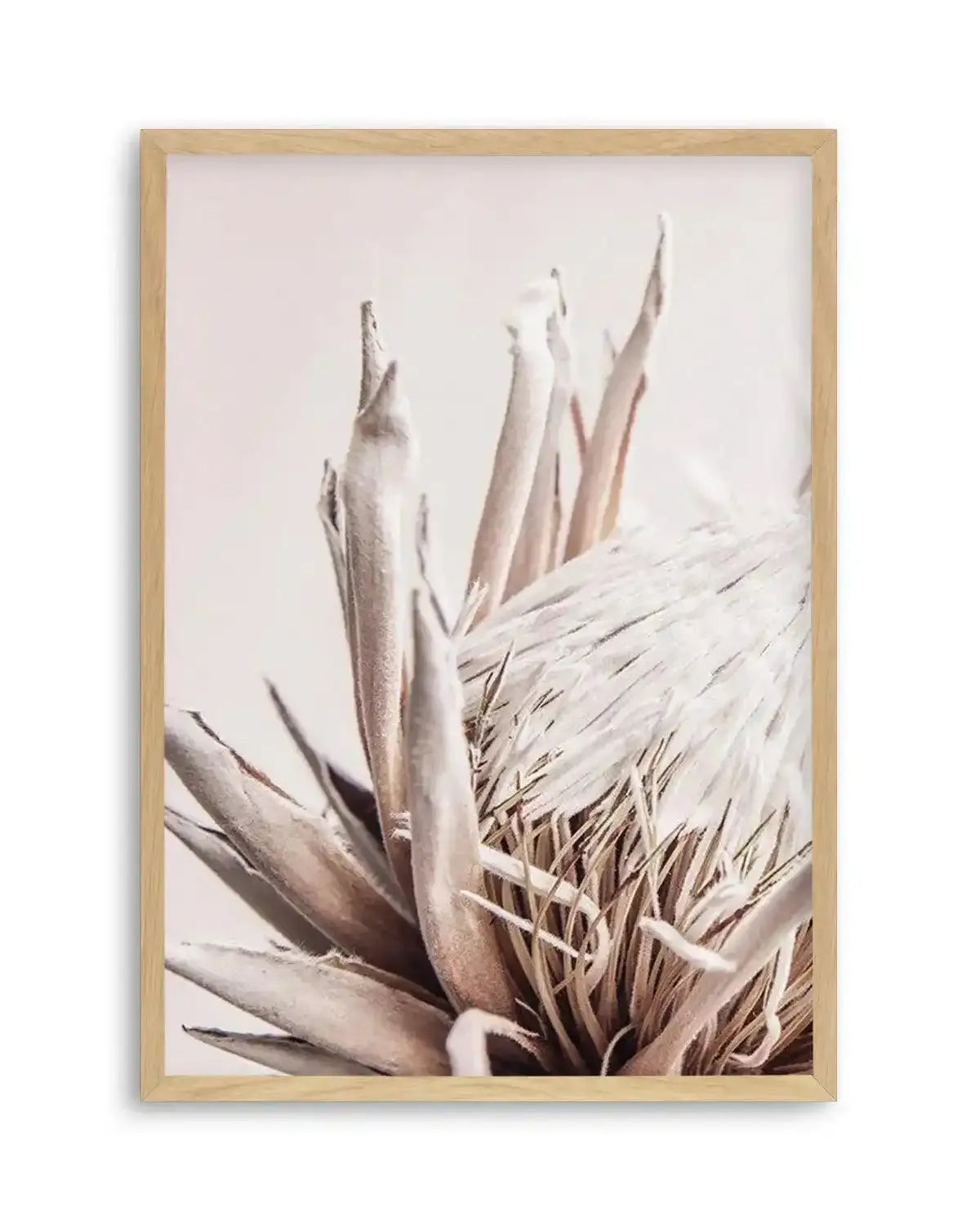 Beige Protea | PT Art Print from Olive et Oriel where you can shop wallpaper and artworks online