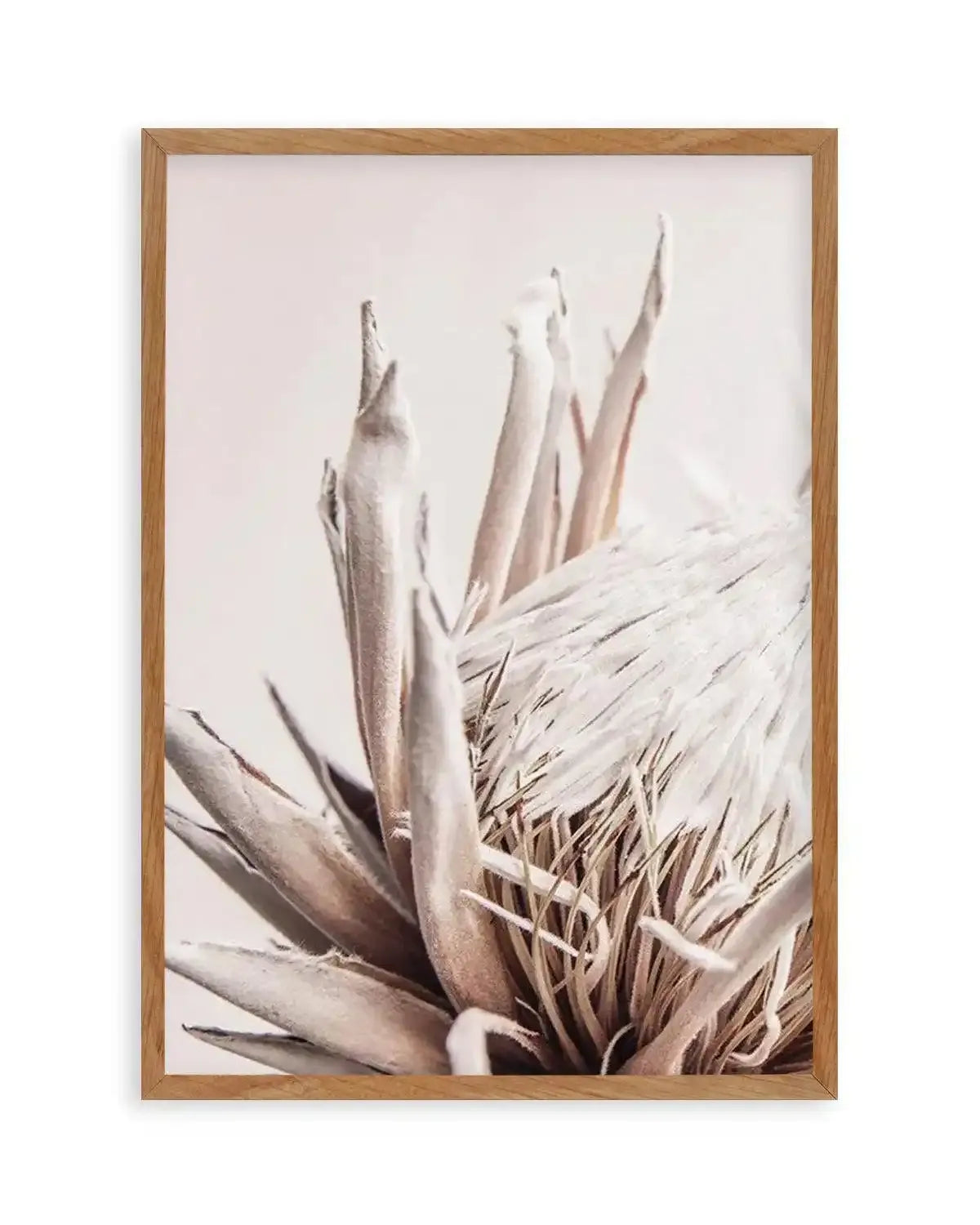 Beige Protea | PT Art Print from Olive et Oriel where you can shop wallpaper and artworks online