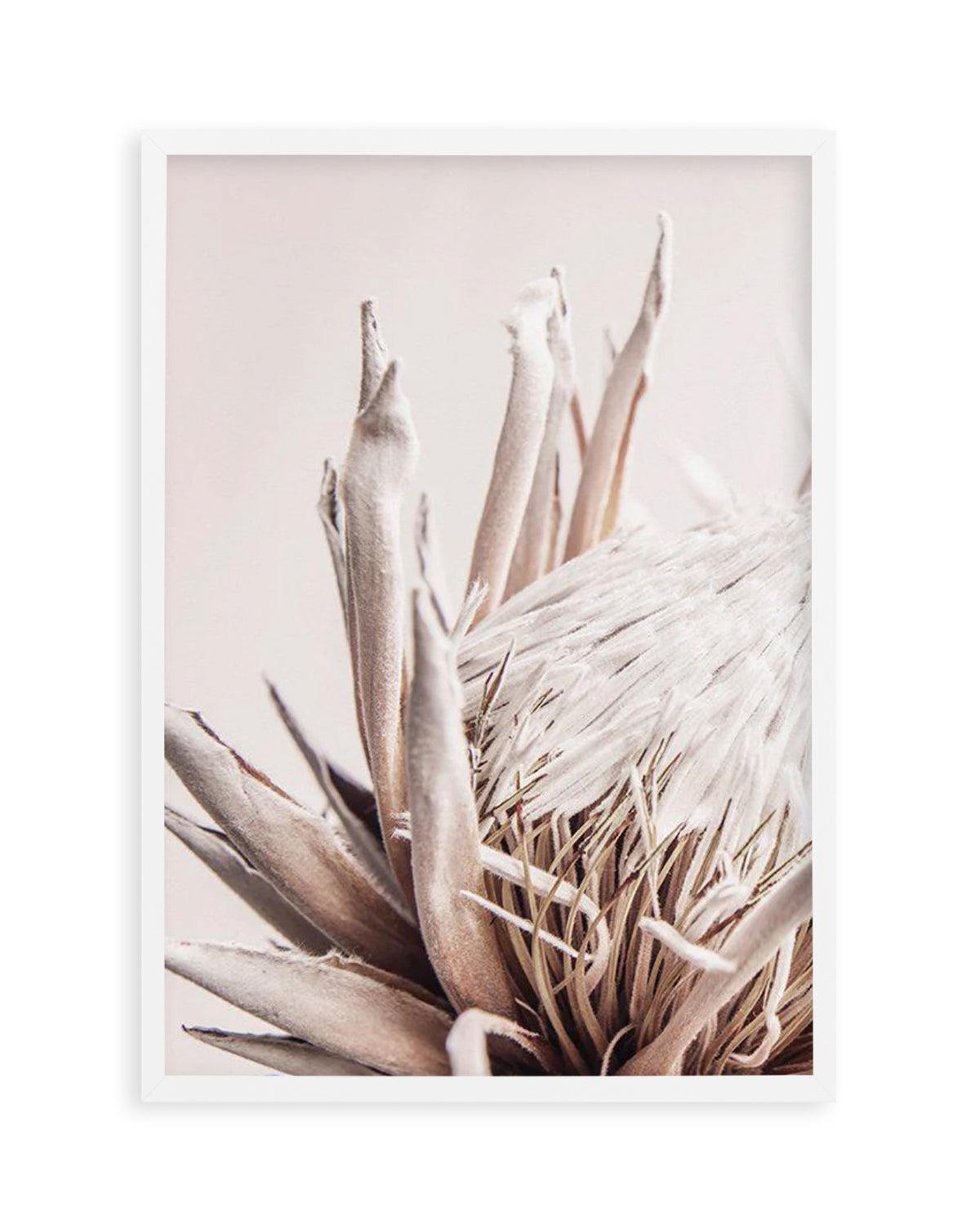 Beige Protea | PT Art Print