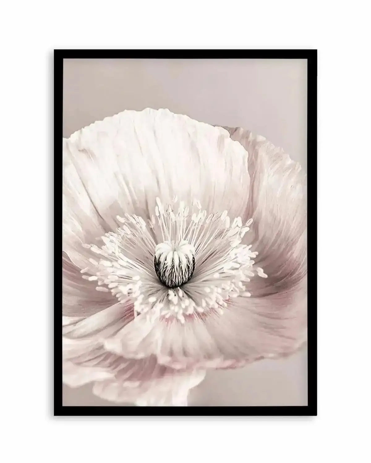 Belle Fleur Art Print from Olive et Oriel where you can shop wallpaper and artworks online