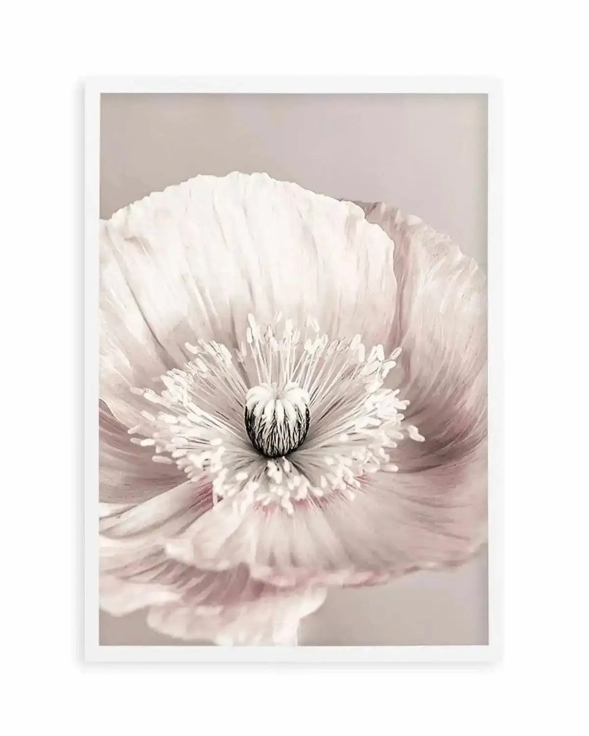 Belle Fleur Art Print from Olive et Oriel where you can shop wallpaper and artworks online