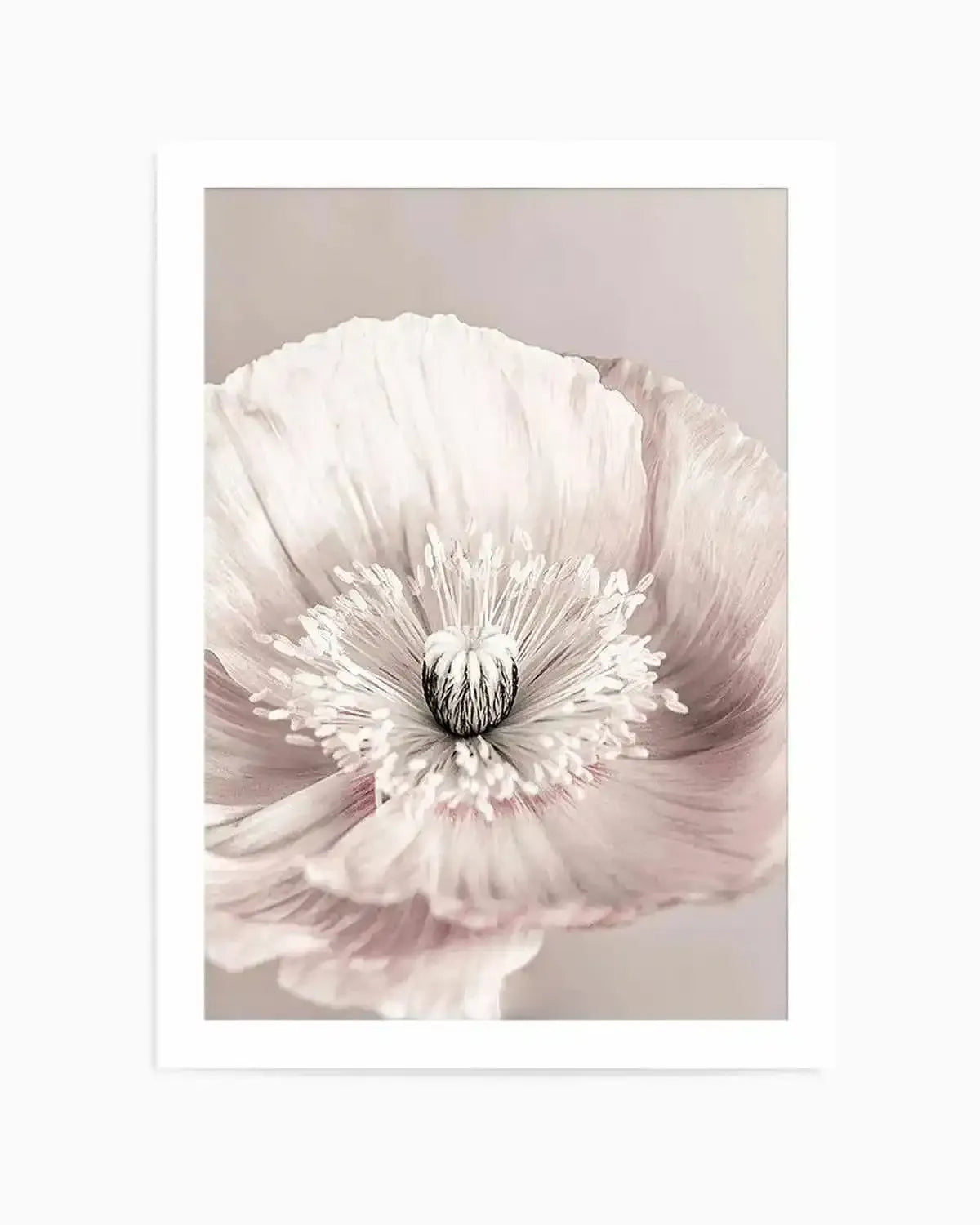 Belle Fleur Art Print from Olive et Oriel where you can shop wallpaper and artworks online