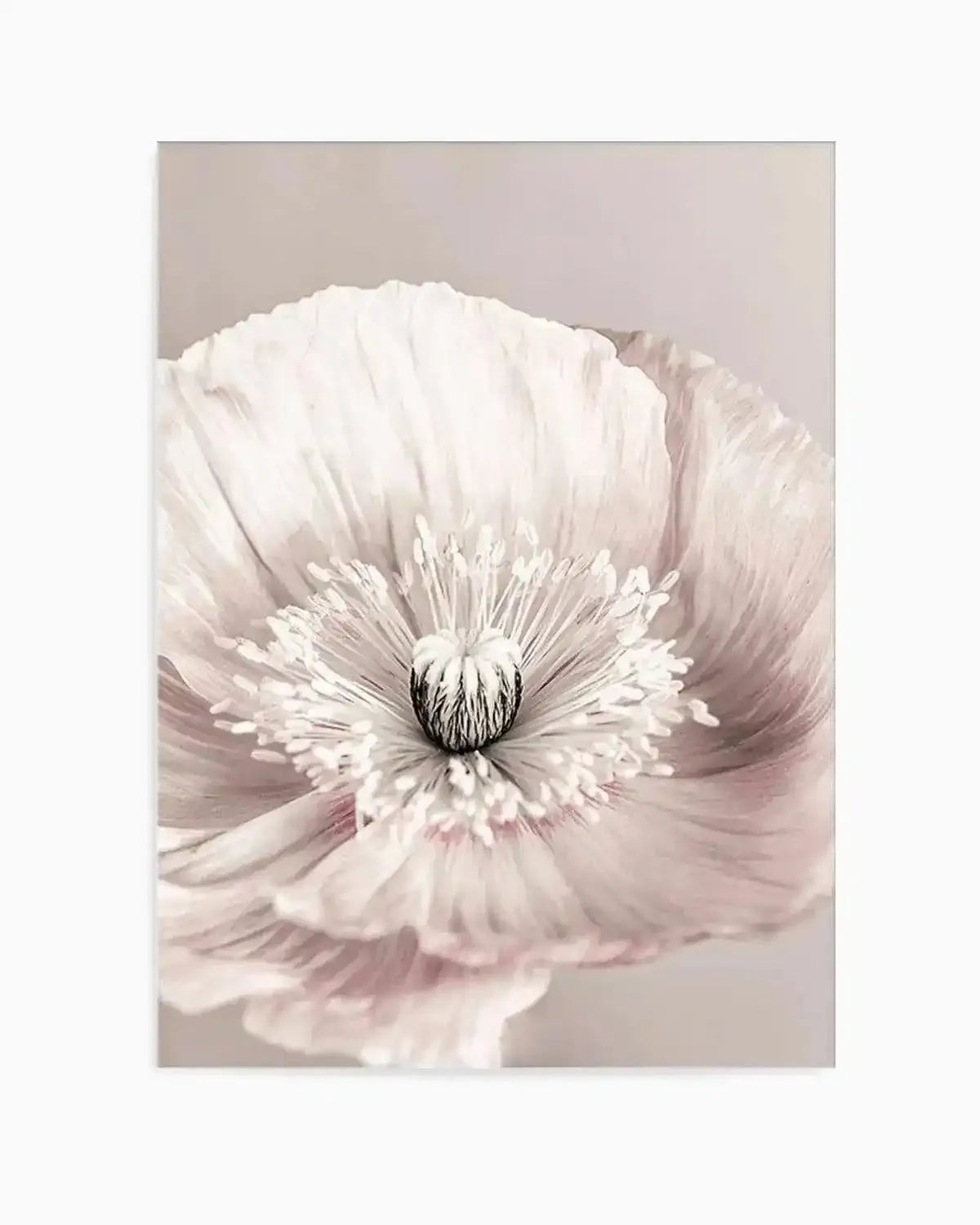 Belle Fleur Art Print from Olive et Oriel where you can shop wallpaper and artworks online