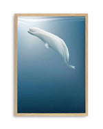 Beluga | Graphic Whales Collection Art Print