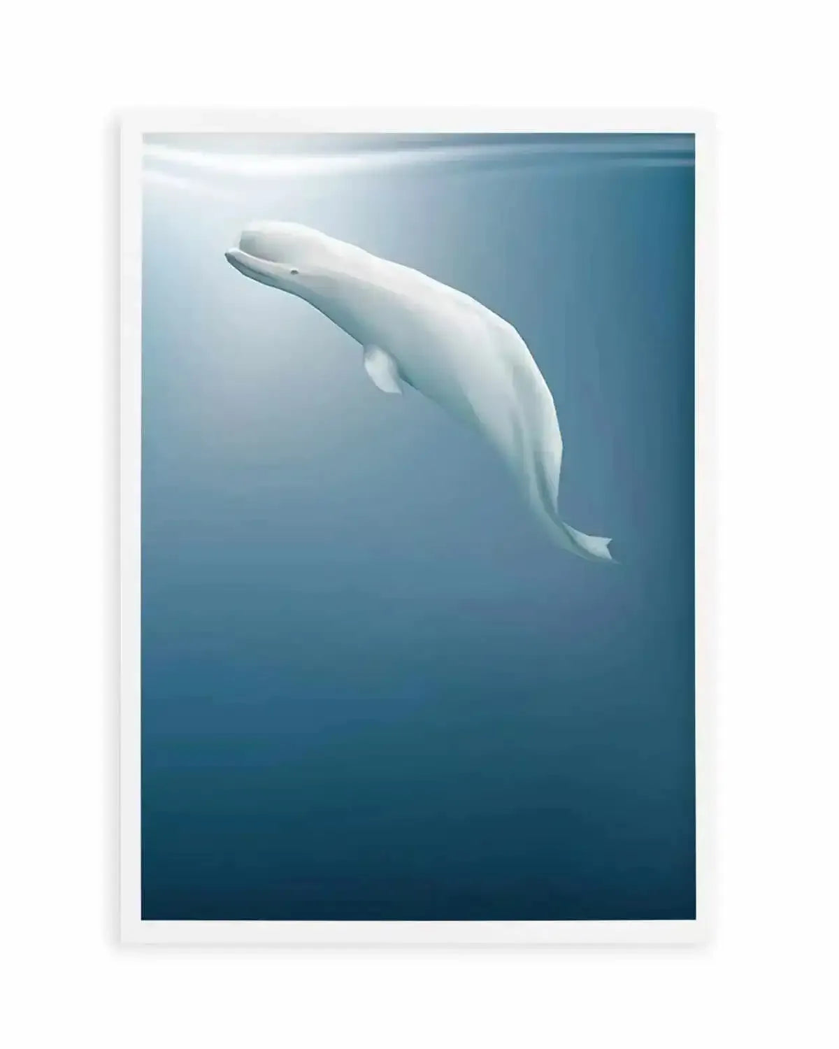 Beluga | Graphic Whales Collection Art Print from Olive et Oriel where you can shop wallpaper and artworks online