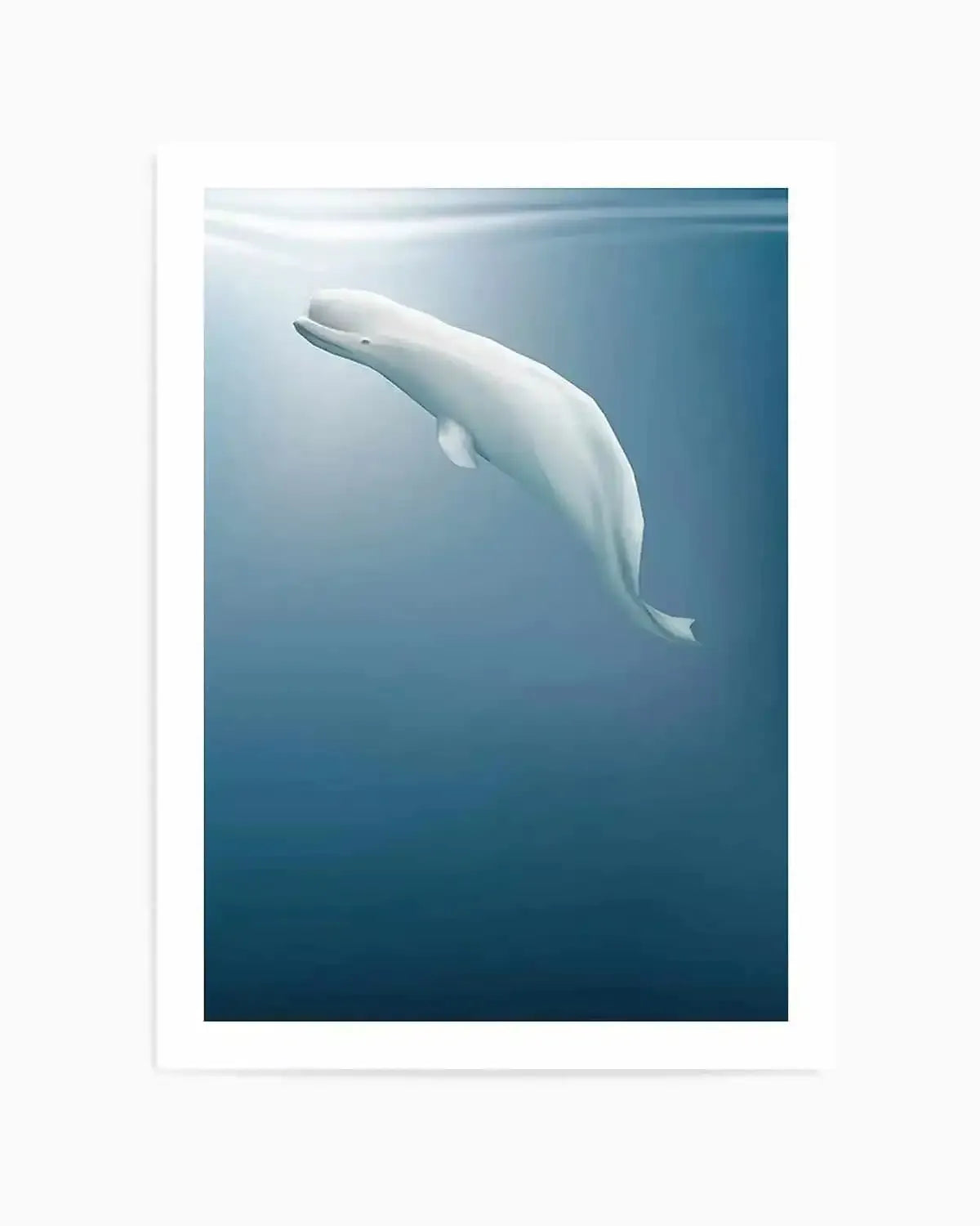 Beluga | Graphic Whales Collection Art Print from Olive et Oriel where you can shop wallpaper and artworks online