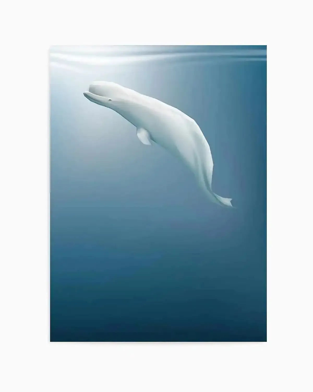 Beluga | Graphic Whales Collection Art Print from Olive et Oriel where you can shop wallpaper and artworks online