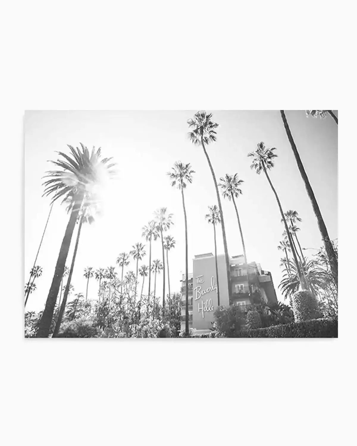 Beverly Hills Hotel I B&W | LS Art Print from Olive et Oriel where you can shop wallpaper and artworks online