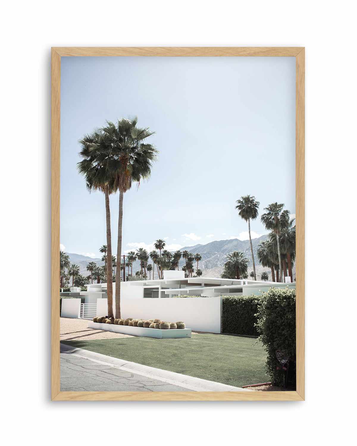 Beyond the Palms, Palm Springs Art Print