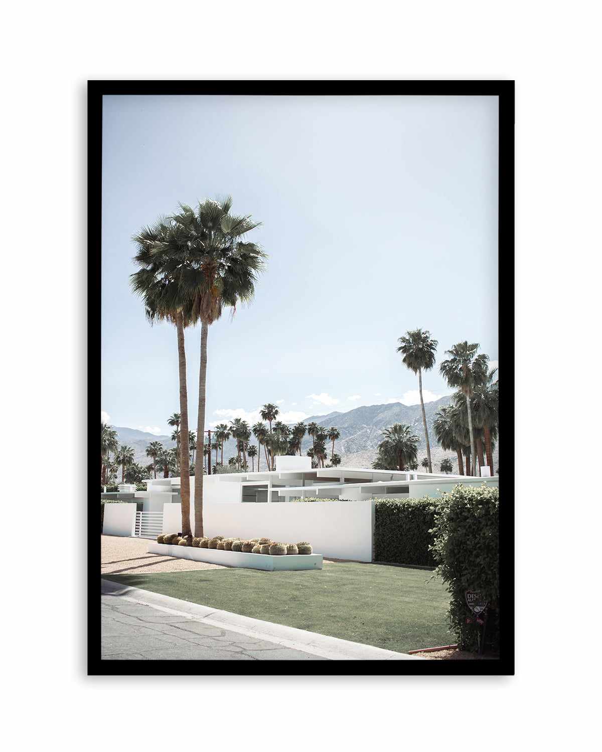 Beyond the Palms, Palm Springs Art Print