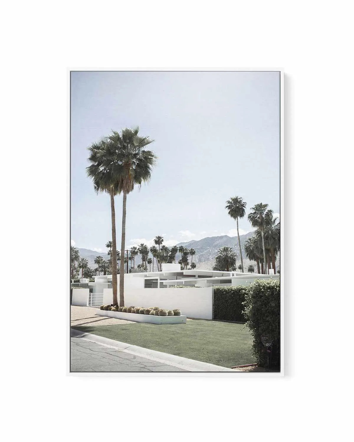 Beyond the Palms, Palm Springs | Framed Canvas Art Print from Olive et Oriel where you can shop wallpaper and artworks online