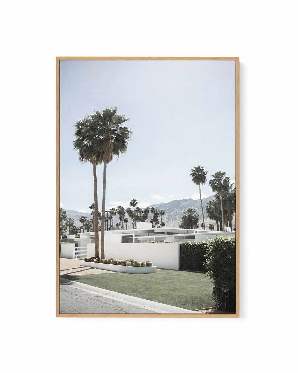Beyond the Palms, Palm Springs | Framed Canvas Art Print from Olive et Oriel where you can shop wallpaper and artworks online