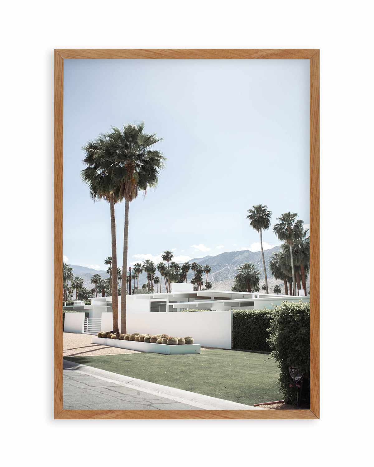 Beyond the Palms, Palm Springs Art Print