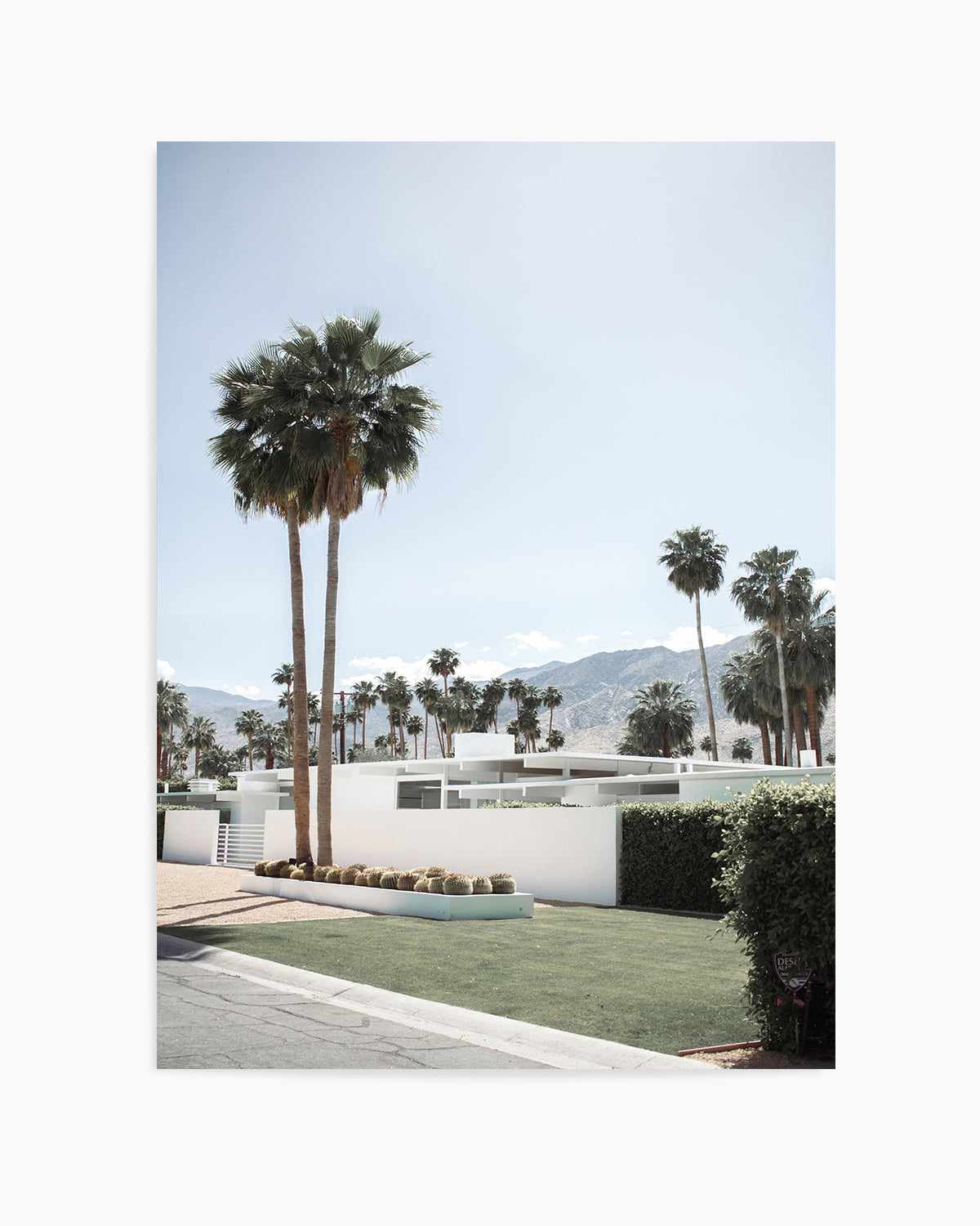 Beyond the Palms, Palm Springs Art Print