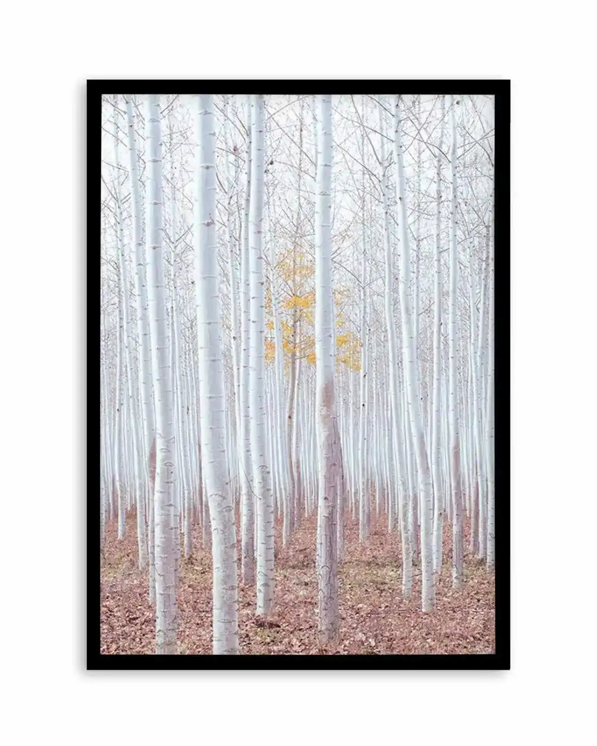 Birch Trees Art Print from Olive et Oriel where you can shop wallpaper and artworks online