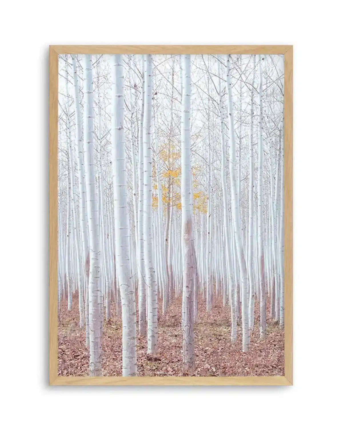 Birch Trees Art Print from Olive et Oriel where you can shop wallpaper and artworks online