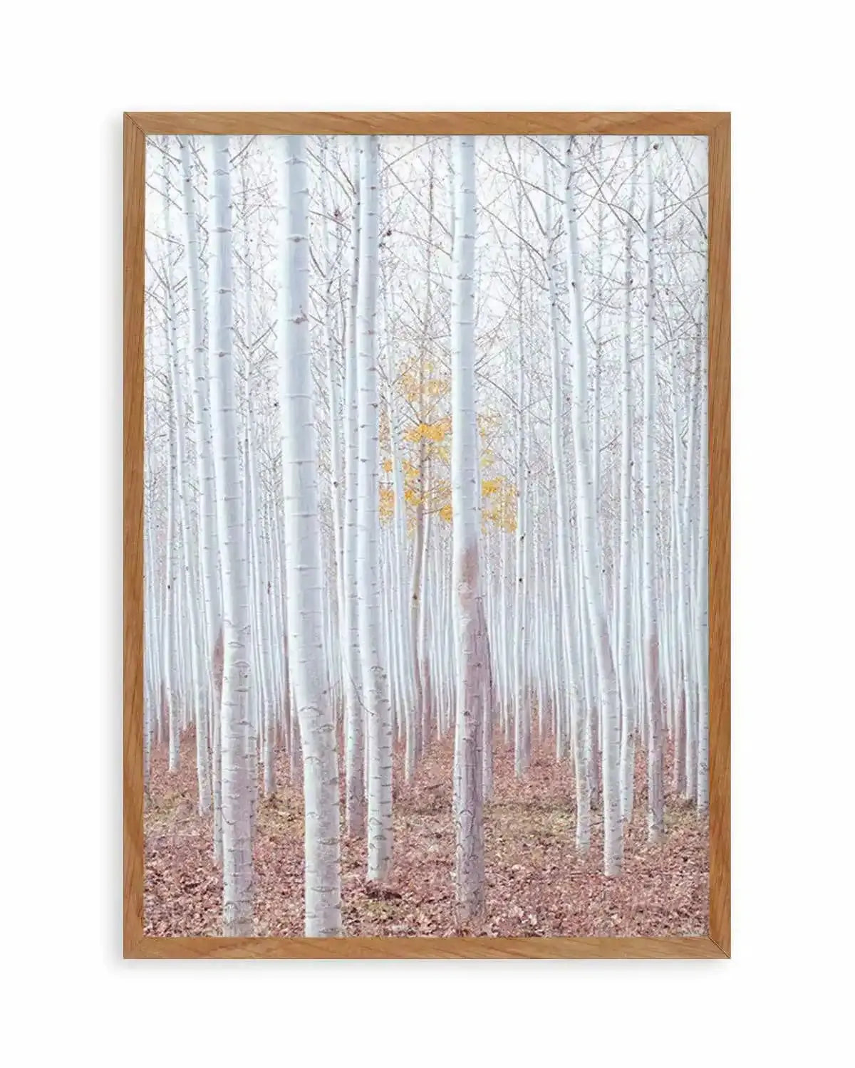 Birch Trees Art Print from Olive et Oriel where you can shop wallpaper and artworks online