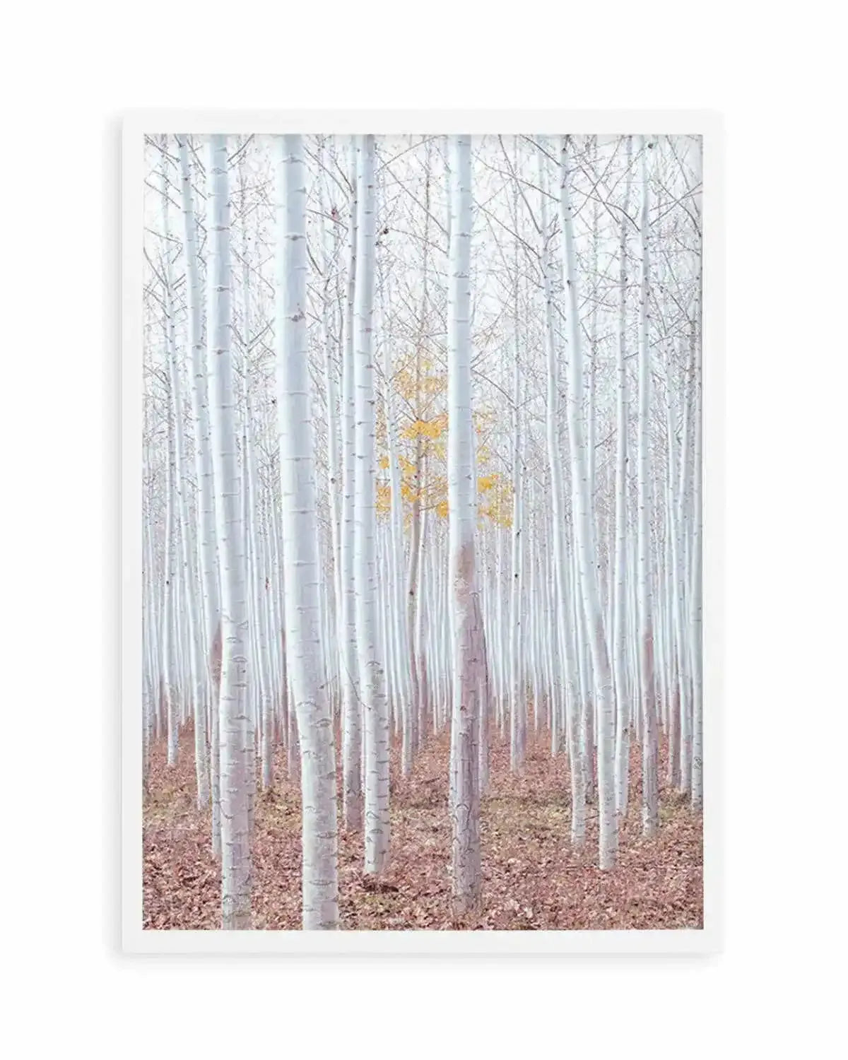 Birch Trees Art Print from Olive et Oriel where you can shop wallpaper and artworks online