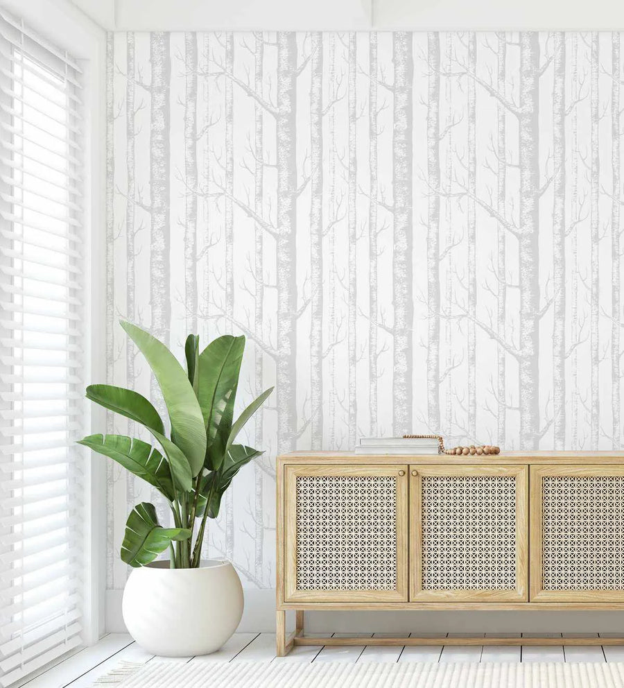 Lifestyle shot of a room with Birch Trees in Grey wallpaper. The wallpaper features a repeating pattern of tall, slender birch trees with delicate branches in varying shades of light grey and white, creating a serene forest effect. The room has white wooden floors and a large white window blind on the left. A large green plant in a round white pot sits in the foreground, and a light wood cabinet with woven rattan doors is on the right.