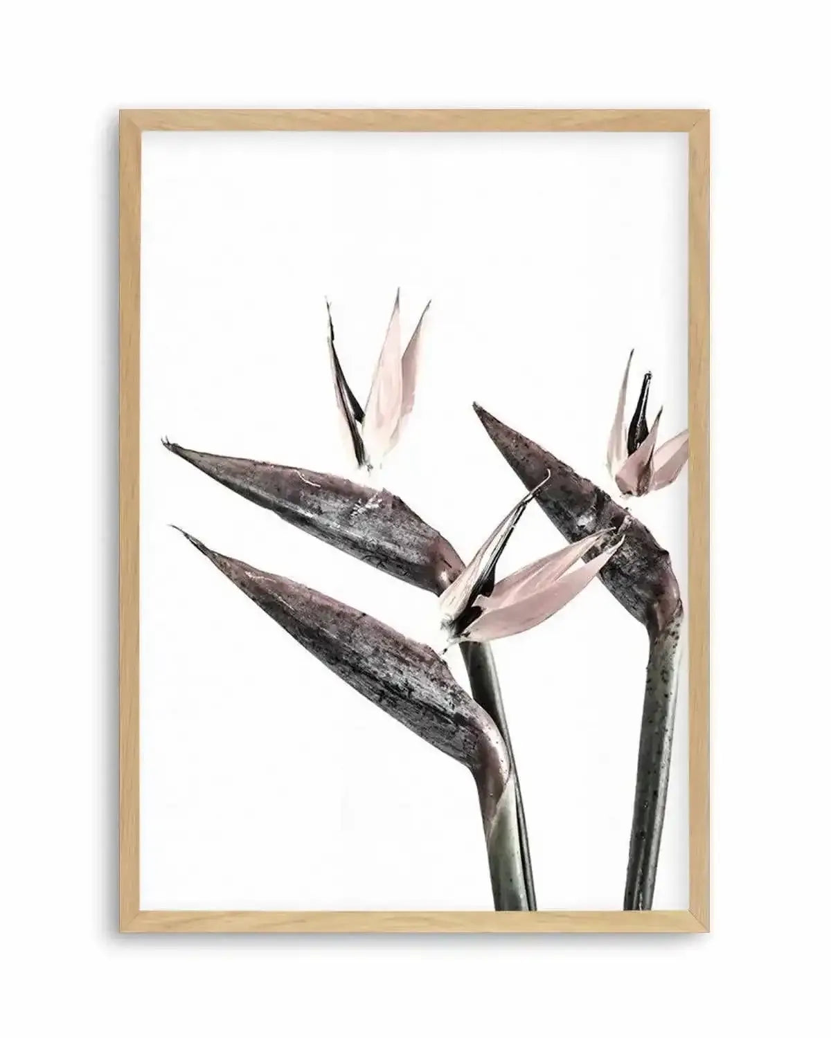 Bird of Paradise Art Print from Olive et Oriel where you can shop wallpaper and artworks online