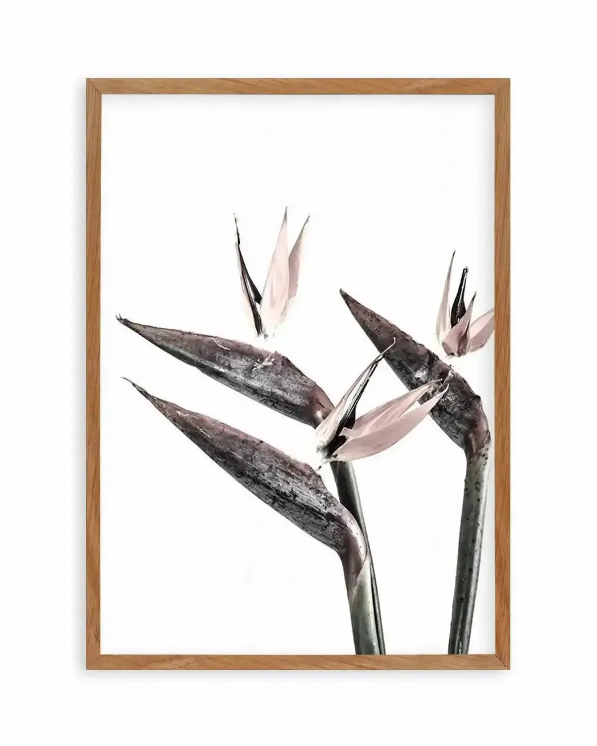 Bird of Paradise Art Print from Olive et Oriel where you can shop wallpaper and artworks online