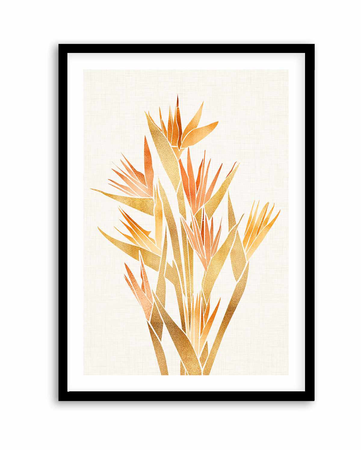 Bird of Paradise By Kristian Gallagher | Art Print