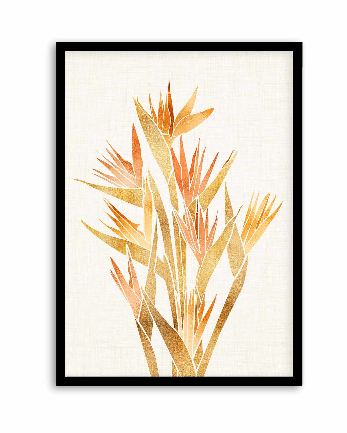 Bird of Paradise By Kristian Gallagher | Art Print